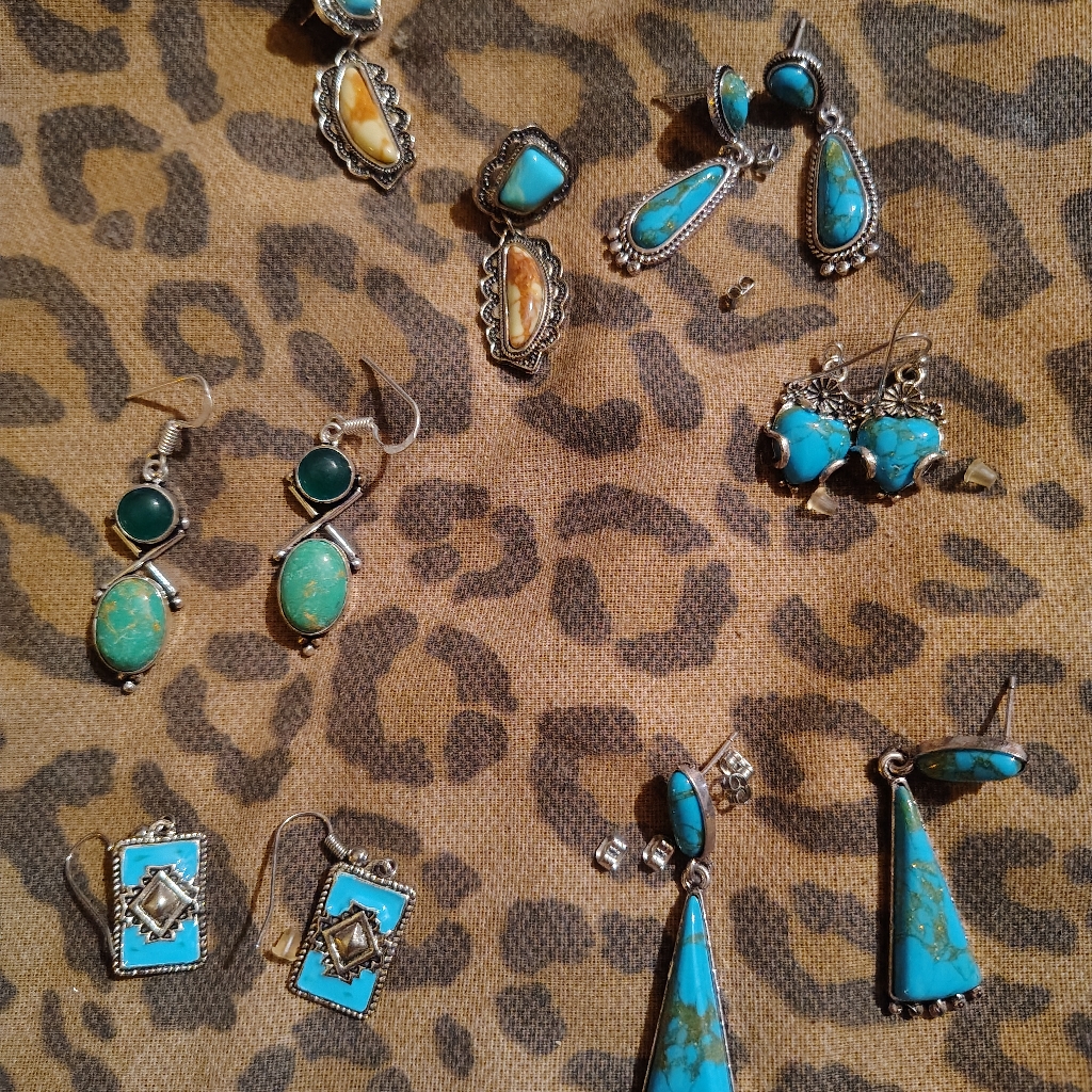 Women's Silver & Turquoise Earrings